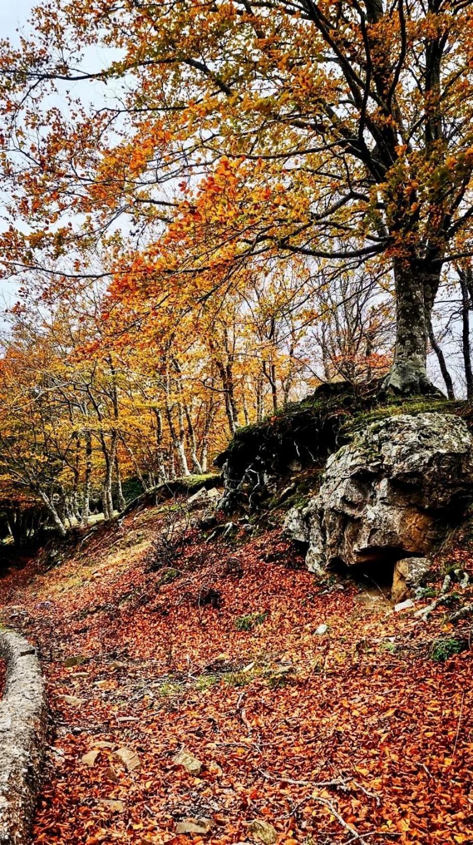 Nebris - Rifugio Del Parco Hotell San Fratello Eksteriør bilde