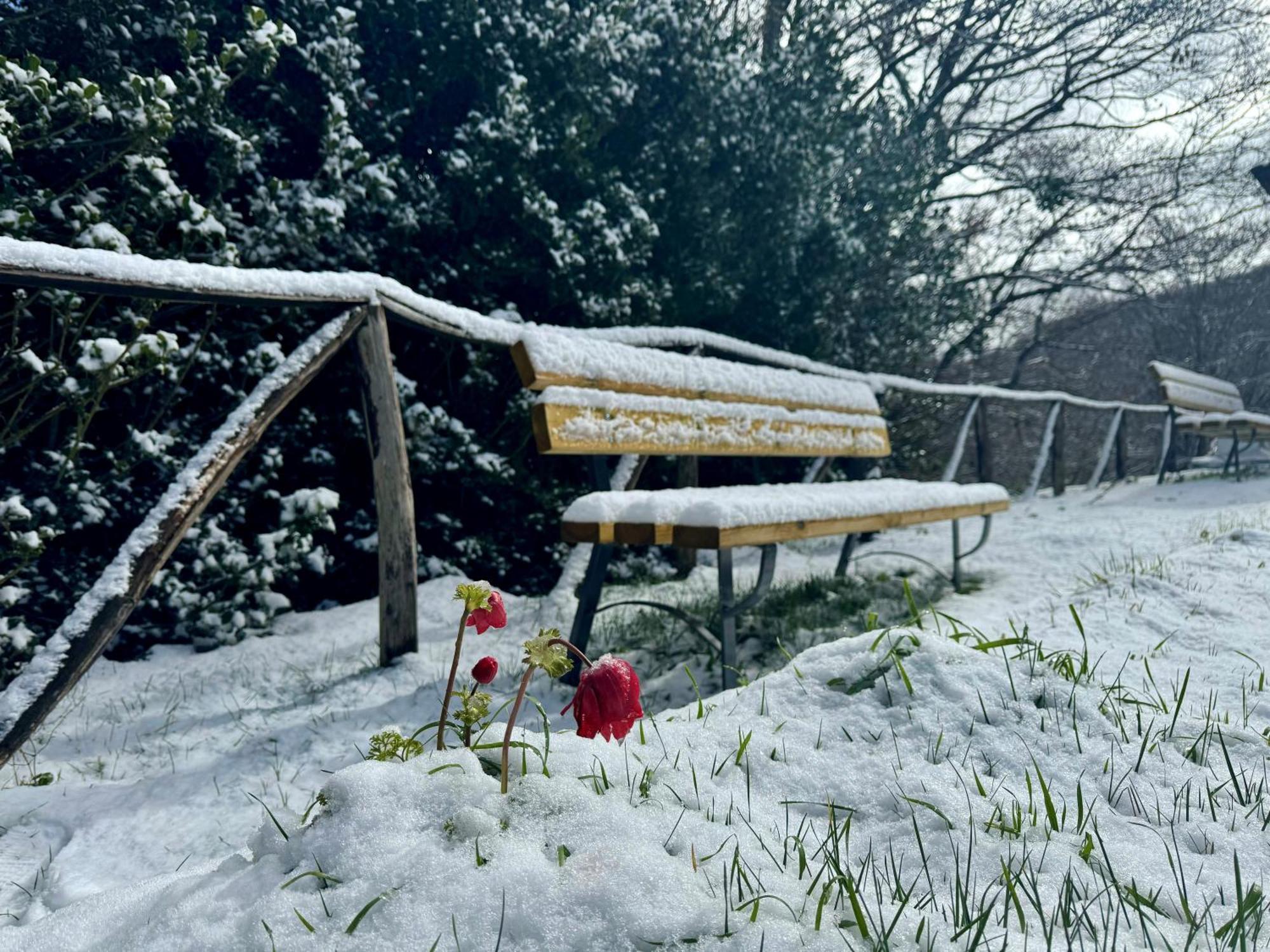 Nebris - Rifugio Del Parco Hotell San Fratello Eksteriør bilde
