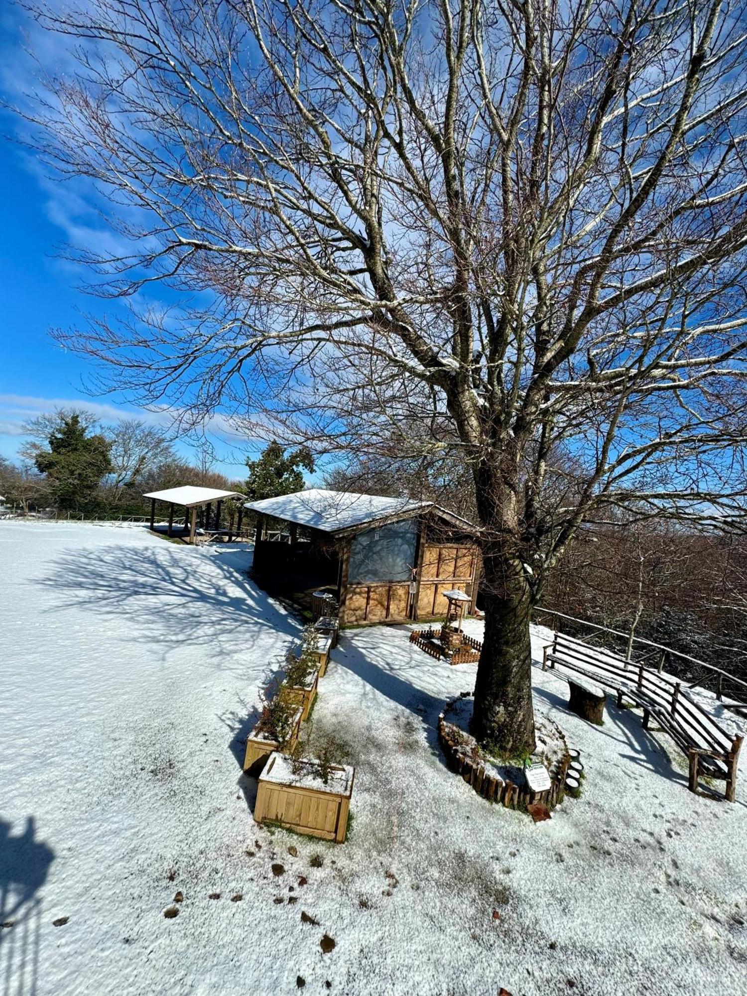 Nebris - Rifugio Del Parco Hotell San Fratello Eksteriør bilde
